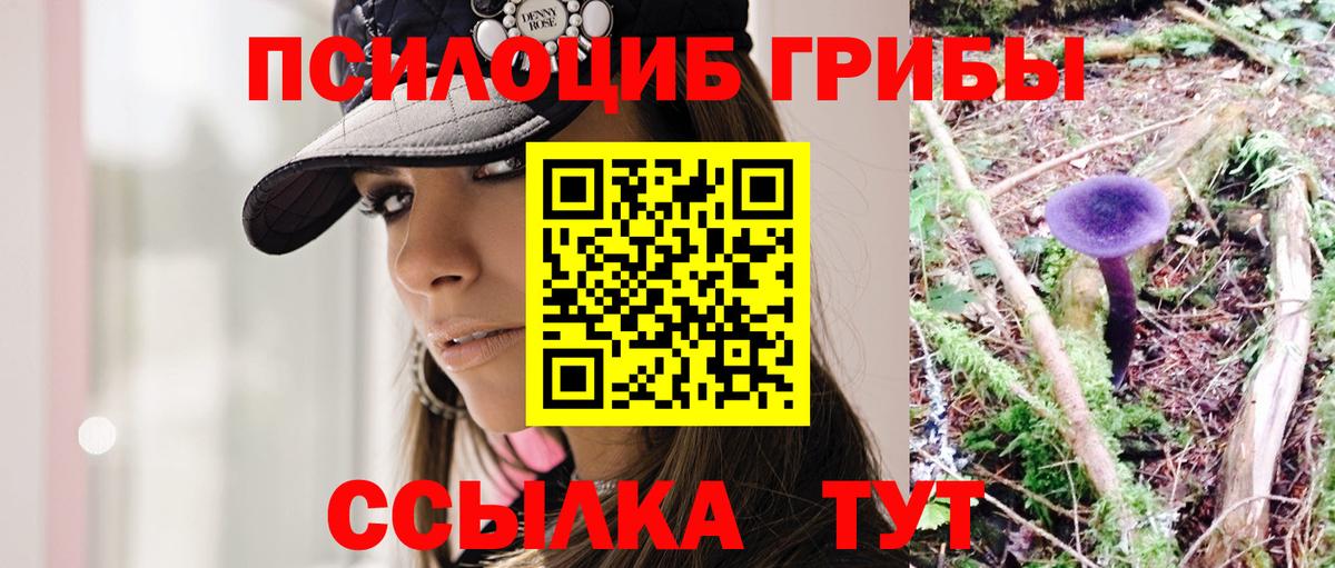 Жуковский  Галлюциногенные грибы Psilocybine cubensis  Вход с VPN 